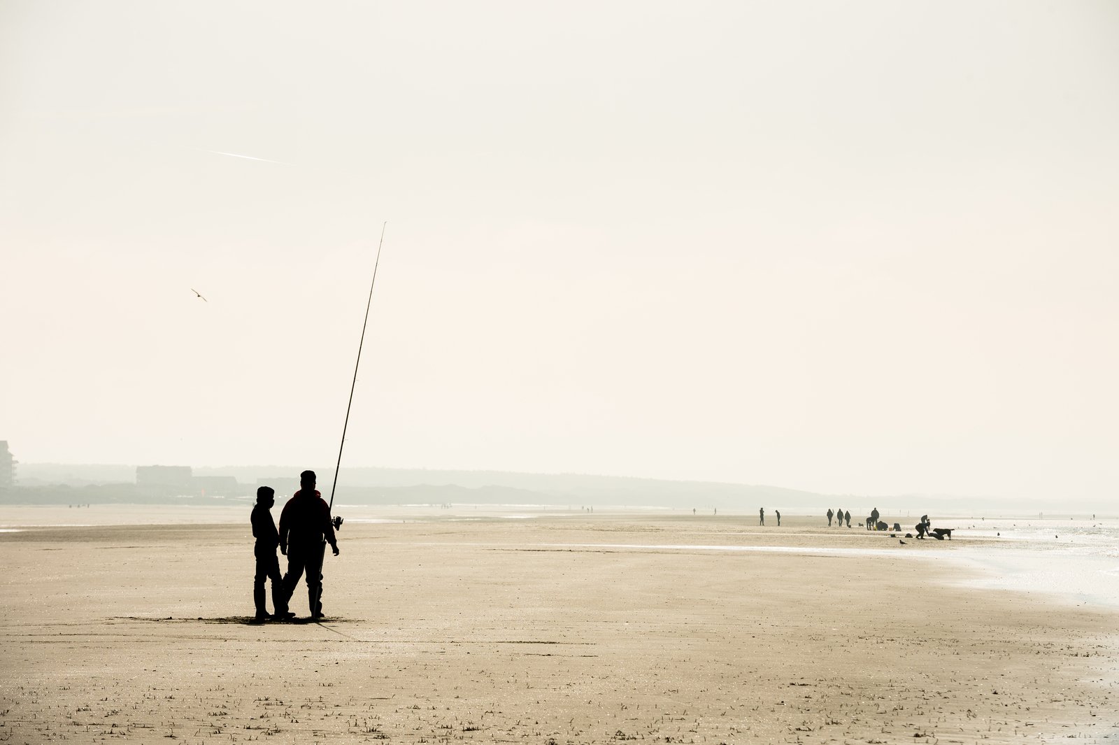 Hardelot